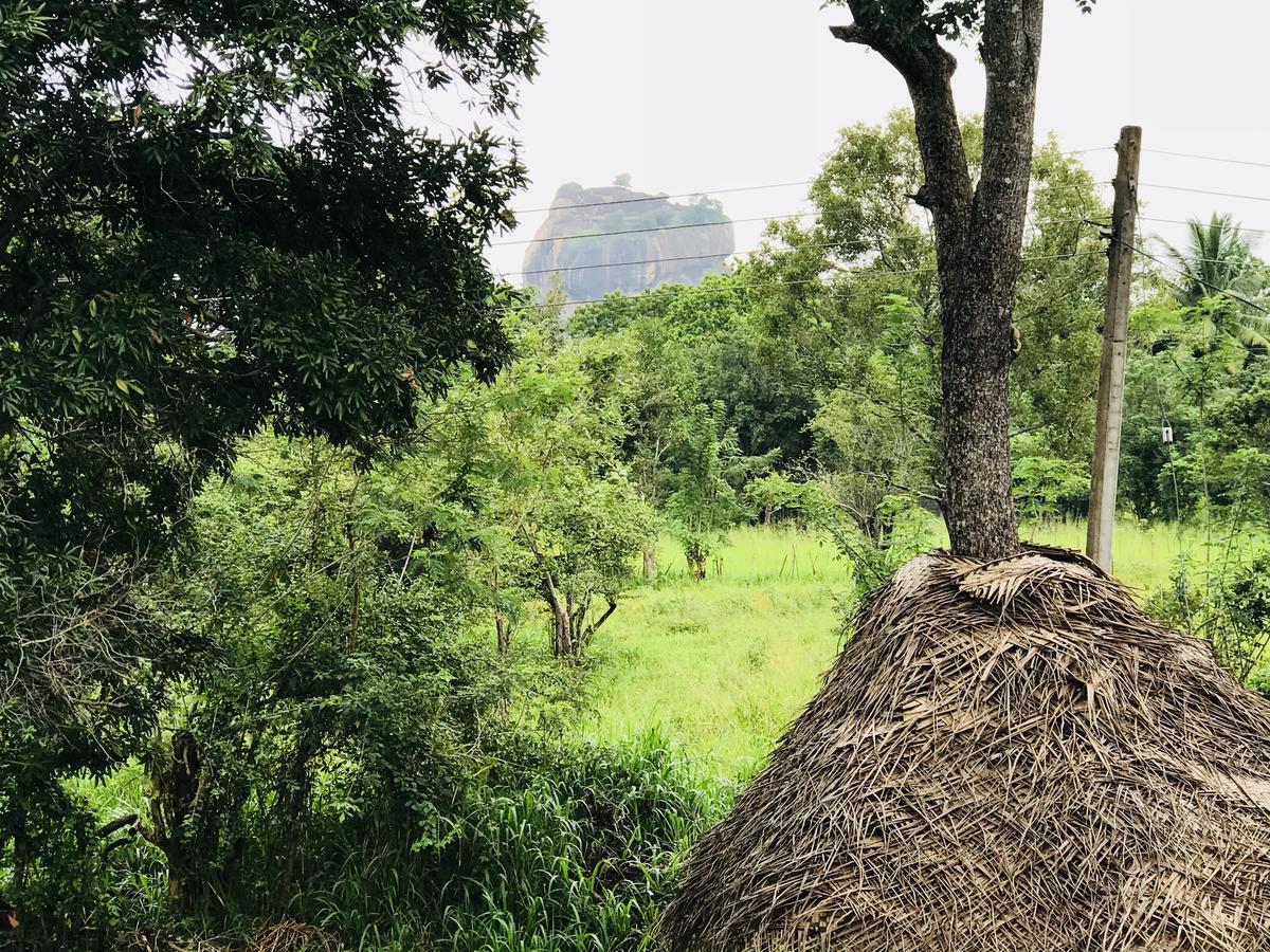 Sigiriya Rock Hide Ξενοδοχείο Εξωτερικό φωτογραφία