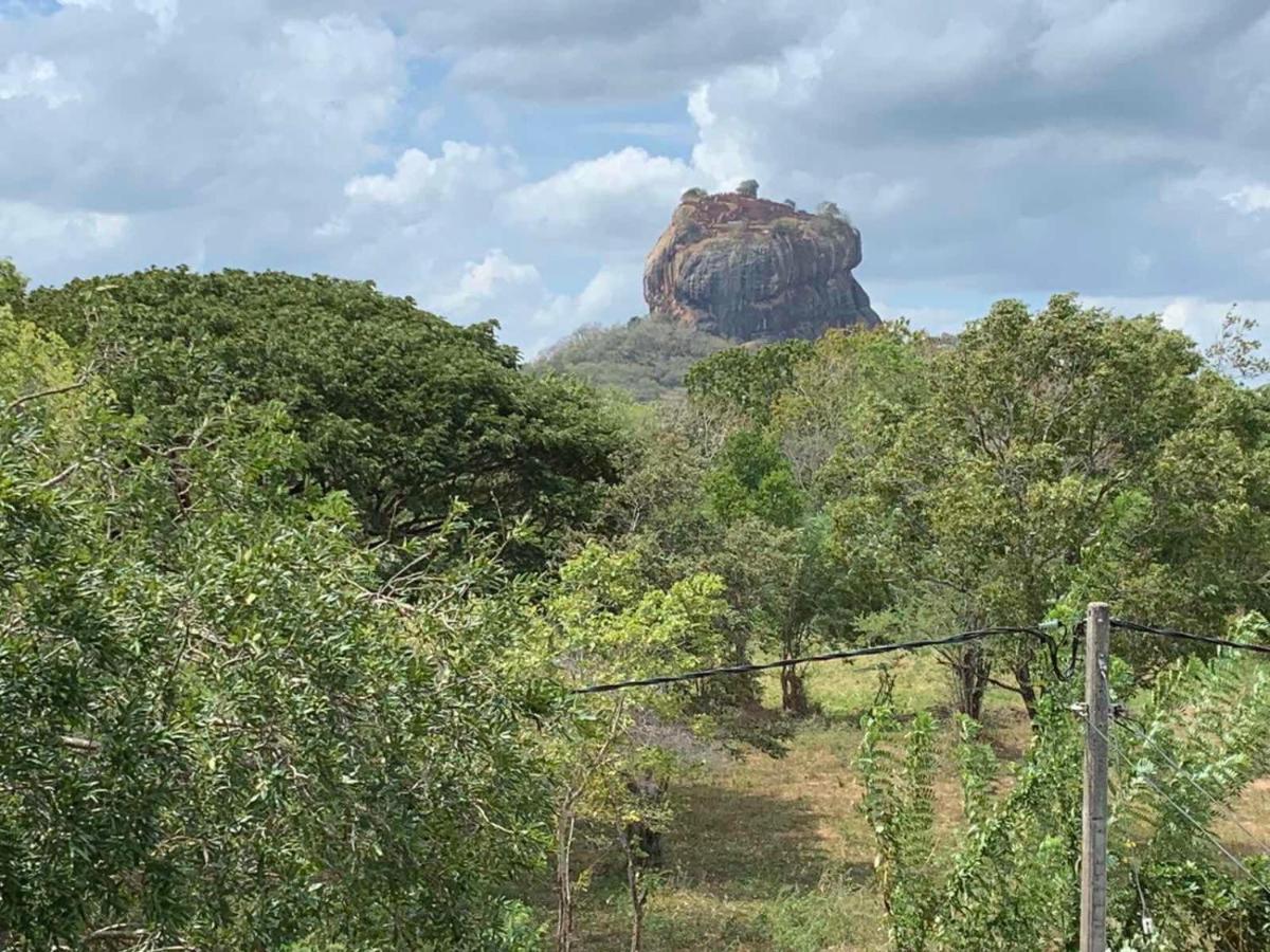 Sigiriya Rock Hide Ξενοδοχείο Εξωτερικό φωτογραφία