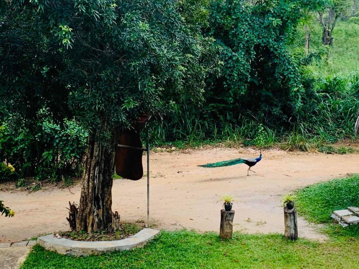 Sigiriya Rock Hide Ξενοδοχείο Εξωτερικό φωτογραφία